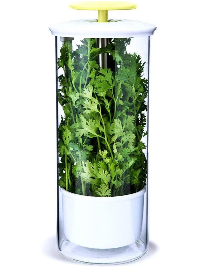 NOVART XXL Herb Keeper and Herb Saver