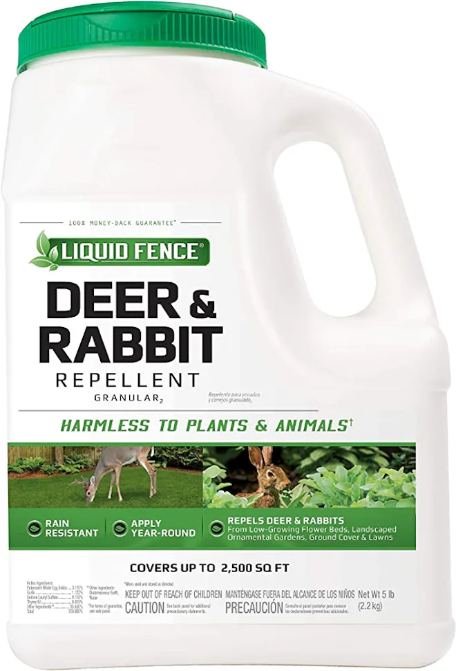 Repelling Animals From Eating Garden photo