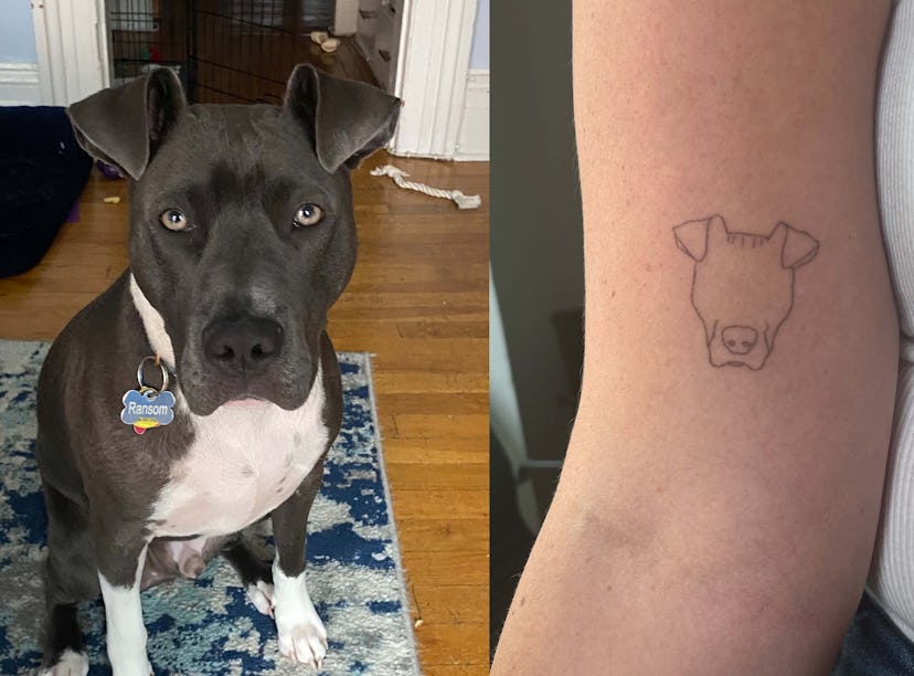 a side-by-side image of a grey pitbull and a tattoo of a dog