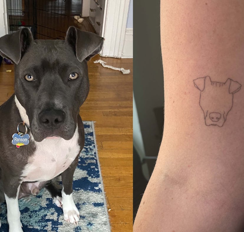 a side-by-side image of a grey pitbull and a tattoo of a dog