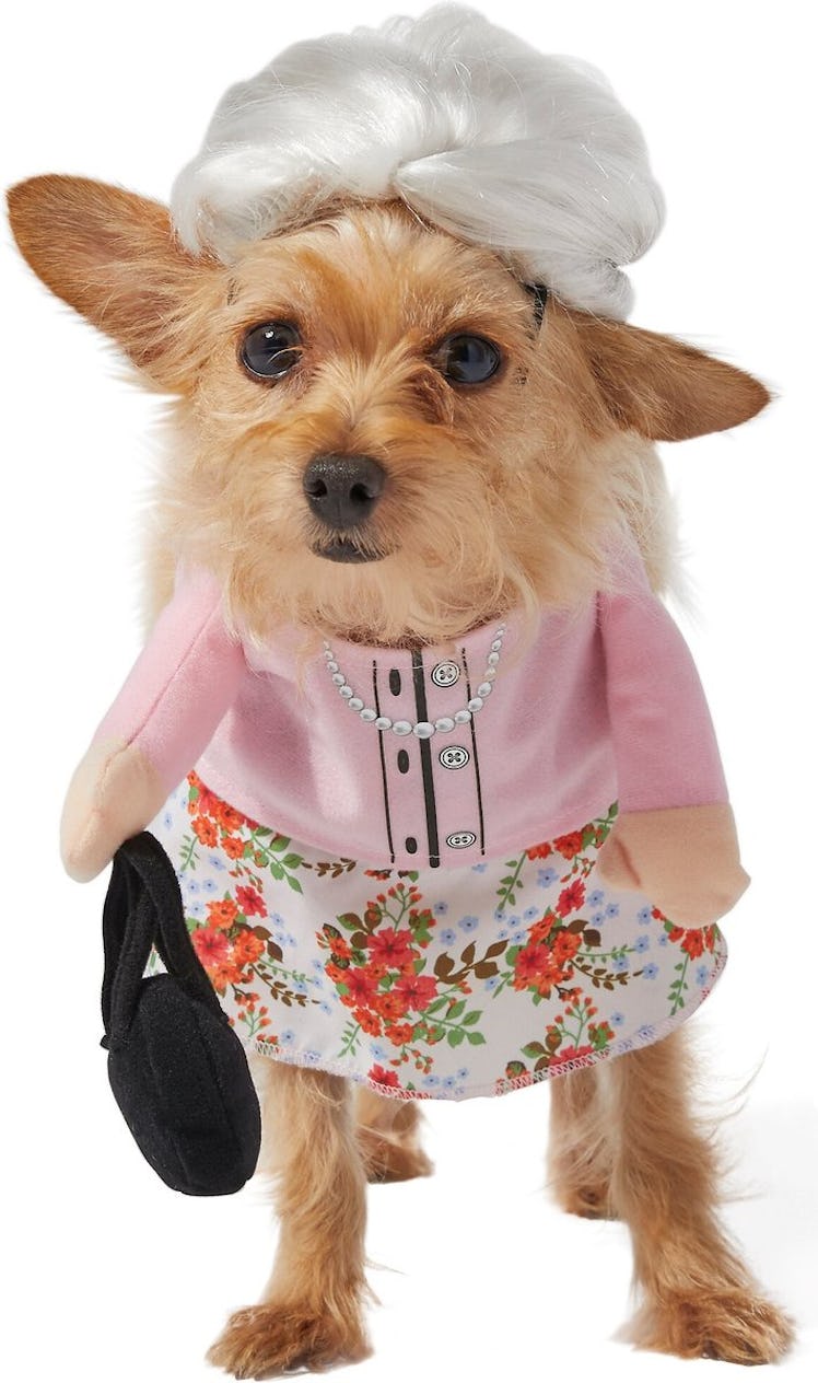 This granny costume is part of Chewy's Halloween dog costumes for 2022. 