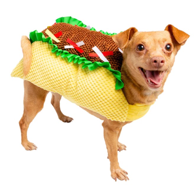 A taco-themed coordinating baby and dog Halloween costume is funny and memorable.