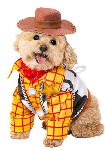 Woody is the perfect costume for a Disney-inspired baby and dog Halloween costume.