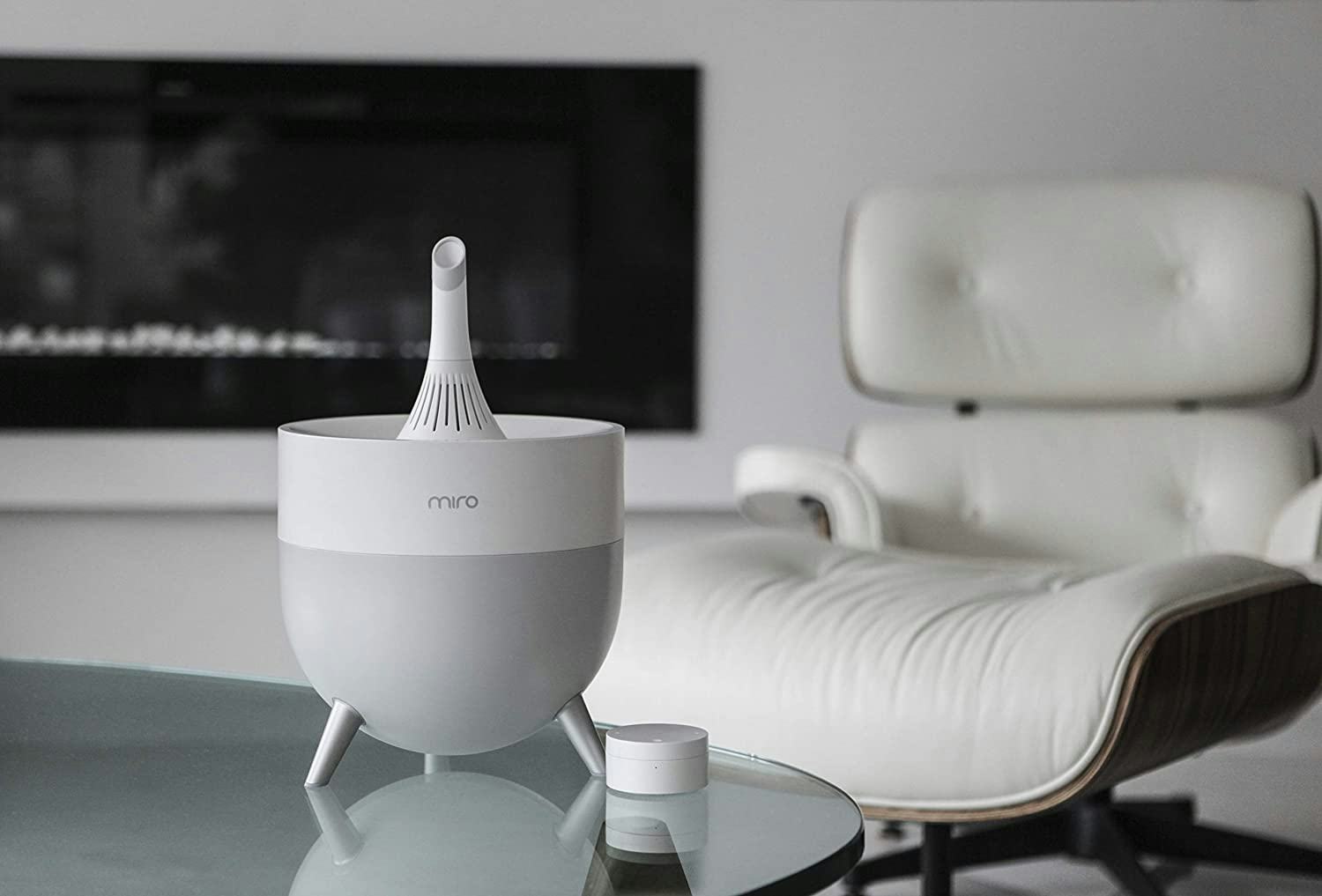 The 5 Best Humidifiers For Eczema