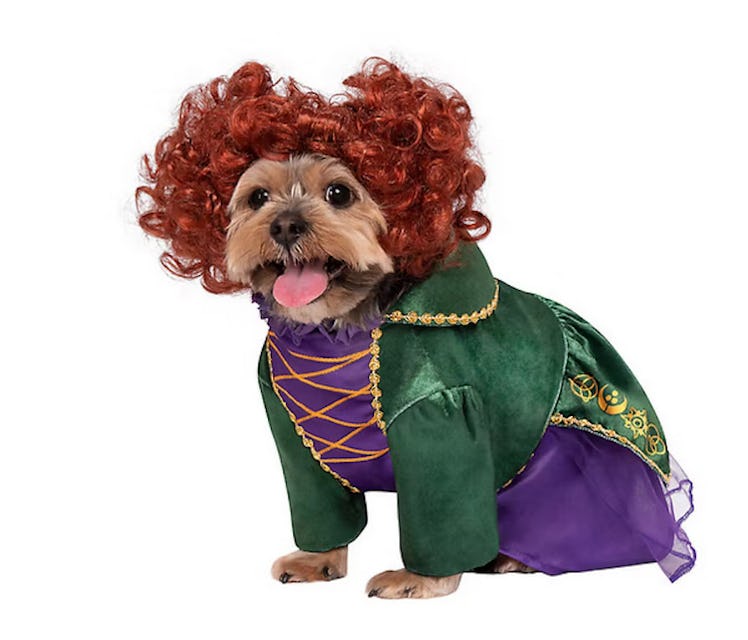 PetSmart's halloween 2022 costumes and toys for dogs and cats include 'Hocus Pocus' outfits.