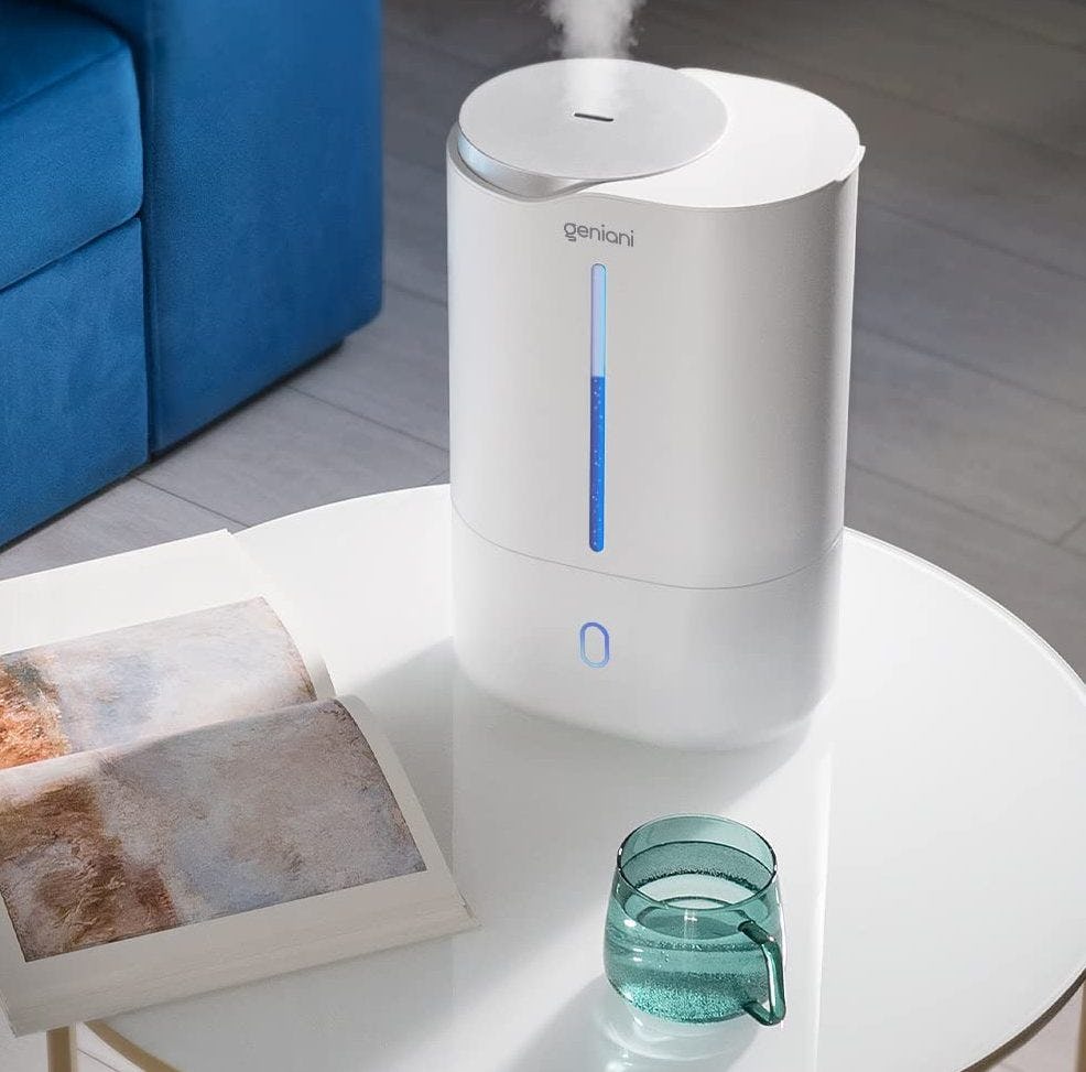 The 5 Best Humidifiers For Eczema