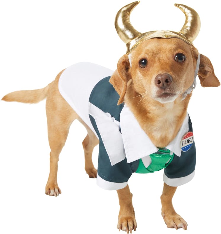 This Loki President costume is part of Chewy's Halloween dog costumes. 