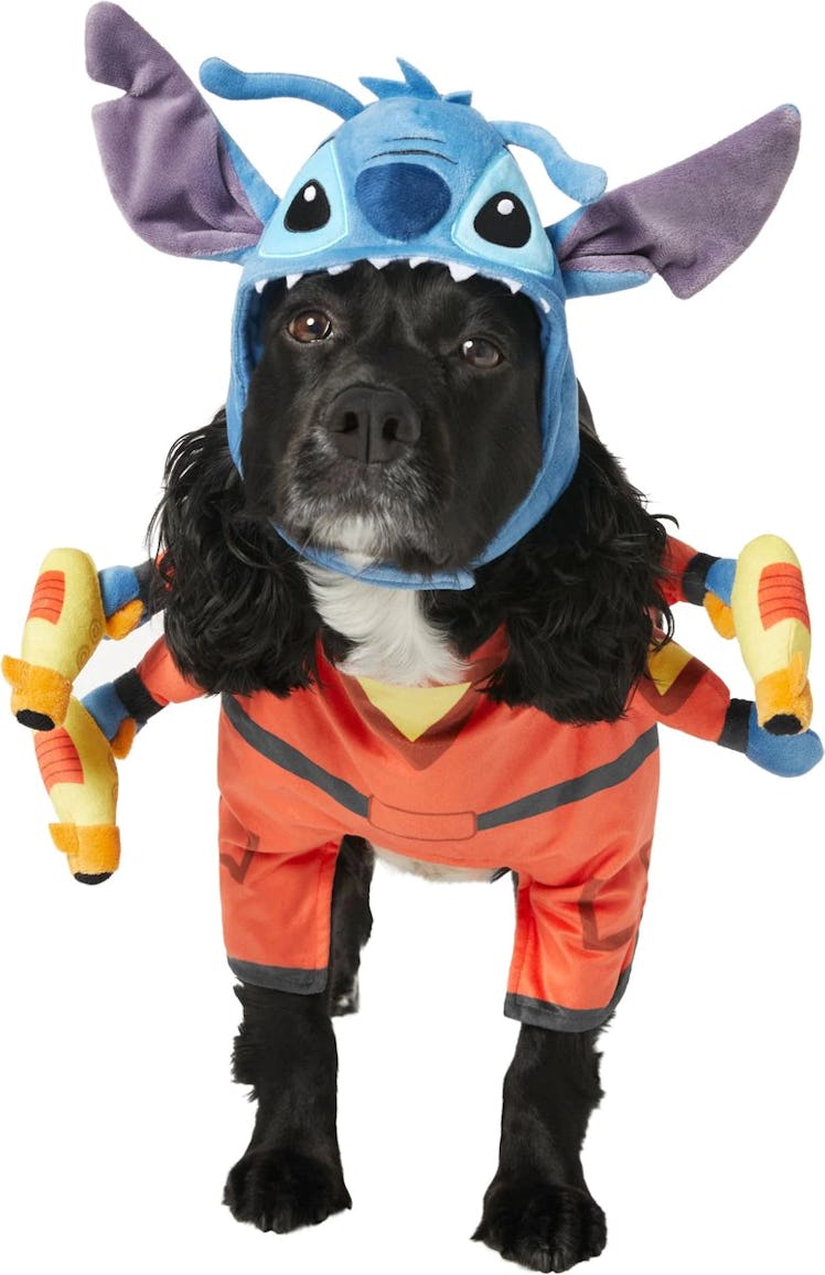 This Stitch dog costume is part of Chewy's Halloween dog costumes for 2022. 