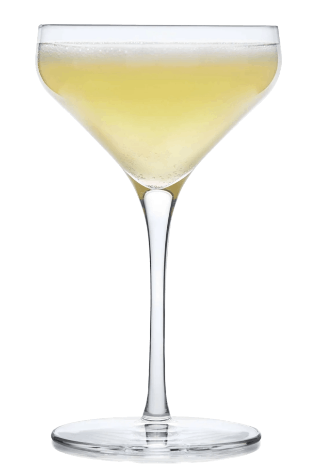 SIGNATURE GREENWICH COUPE COCKTAIL GLASSES