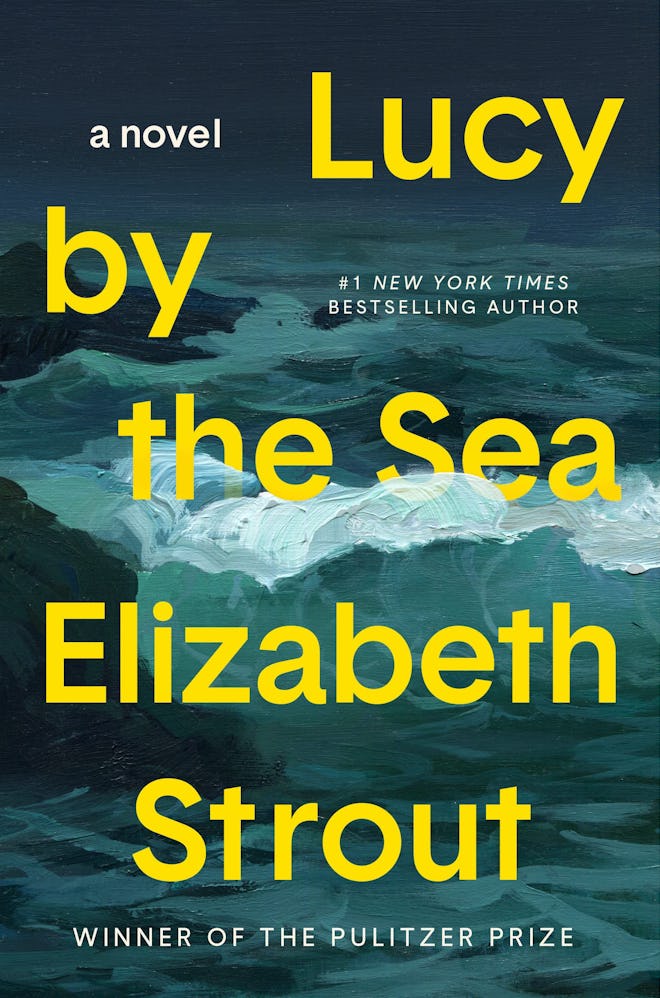 ‘Lucy by the Sea’ by Elizabeth Strout