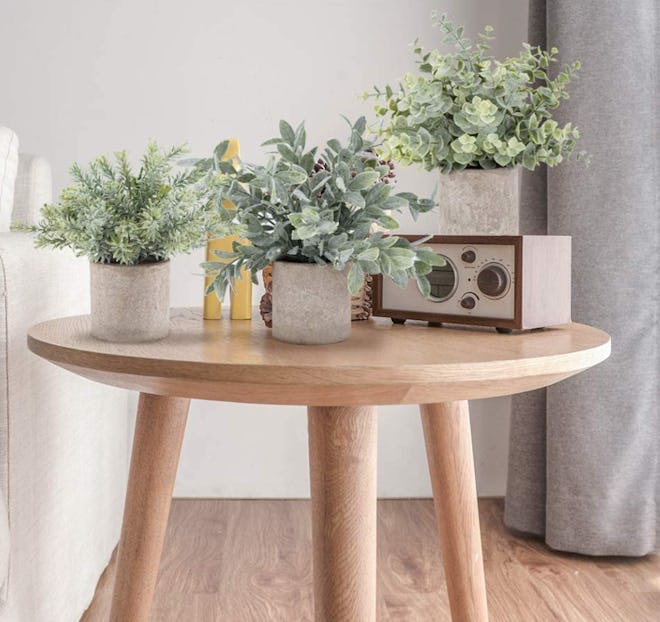 Der Rose Mini Artificial Potted Plants (Set of 3)