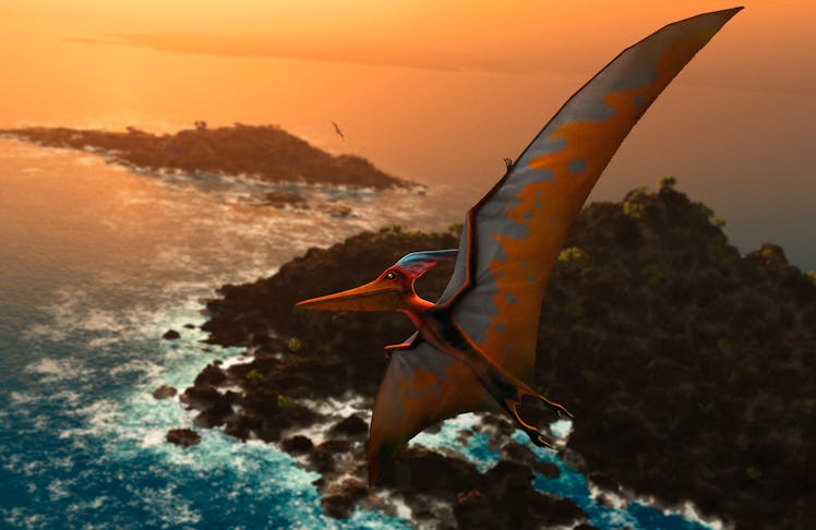 Pterosaur flying above the ocean
