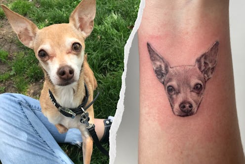 dog tattoo in memory of chihuahua