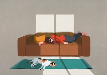 Woman sleeping on couch next to dog on rug