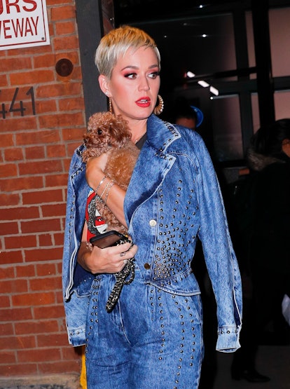 Katy Perry leaves "American Idol" auditions with her dog Nugget.