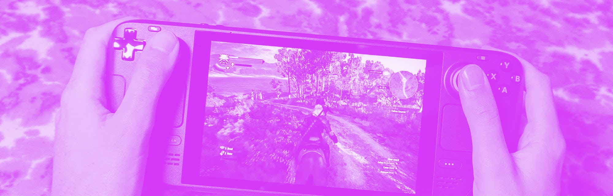 The Valve Steam Deck.