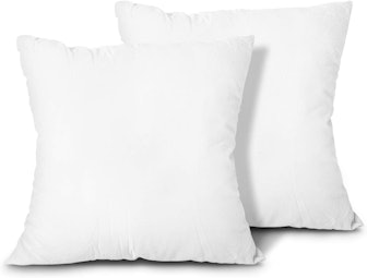 EDOW Throw Pillow Inserts (Set of 2) 