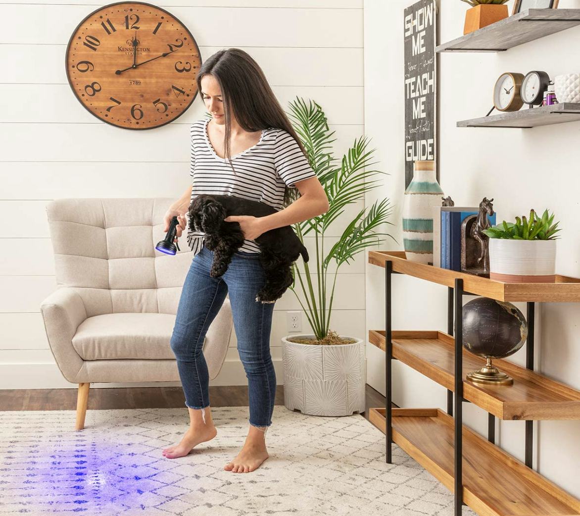 GearLight UV Black Light