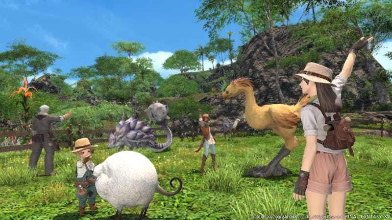 Two characters surrounded by different creatures in FFXIV Island Sanctuary