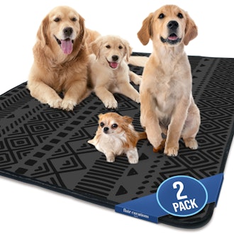 Flair Curations Washable Dog Pee Pads (2-Pack)