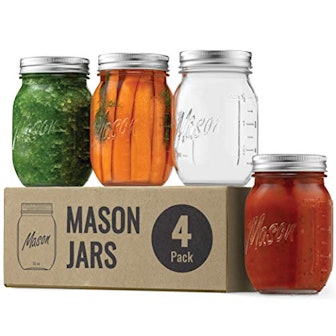 Paksh Novelty Mason Jars (4-Pack)