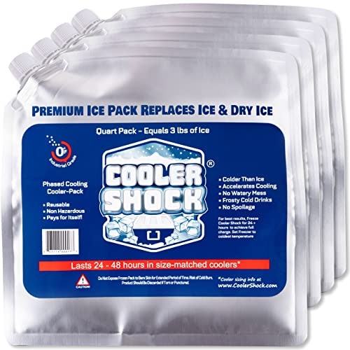 Cooler Shock Reusable Ice Packs for Cooler (4-Pack) 