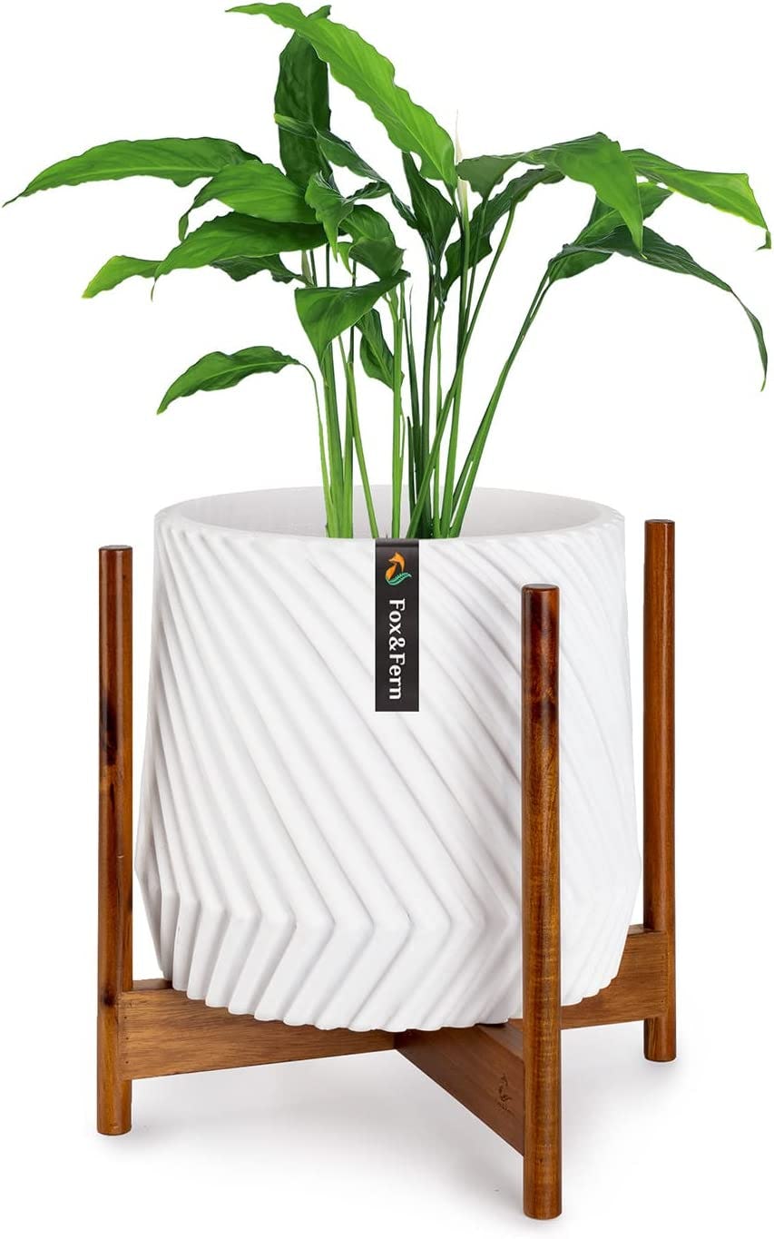 Fox &amp; Fern Modern Plant Stand