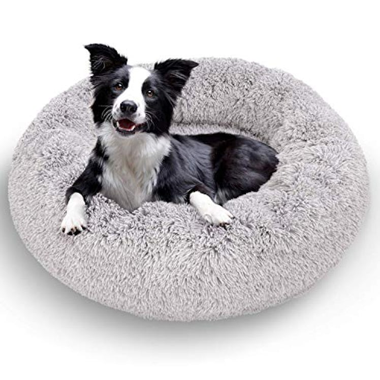 Active Pets Plush Calming Dog Bed