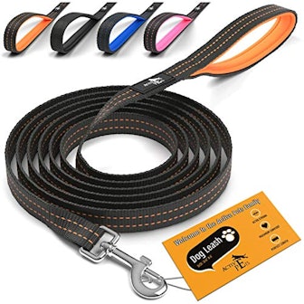 Active Pets Strong Dog Leash with Padded Handle