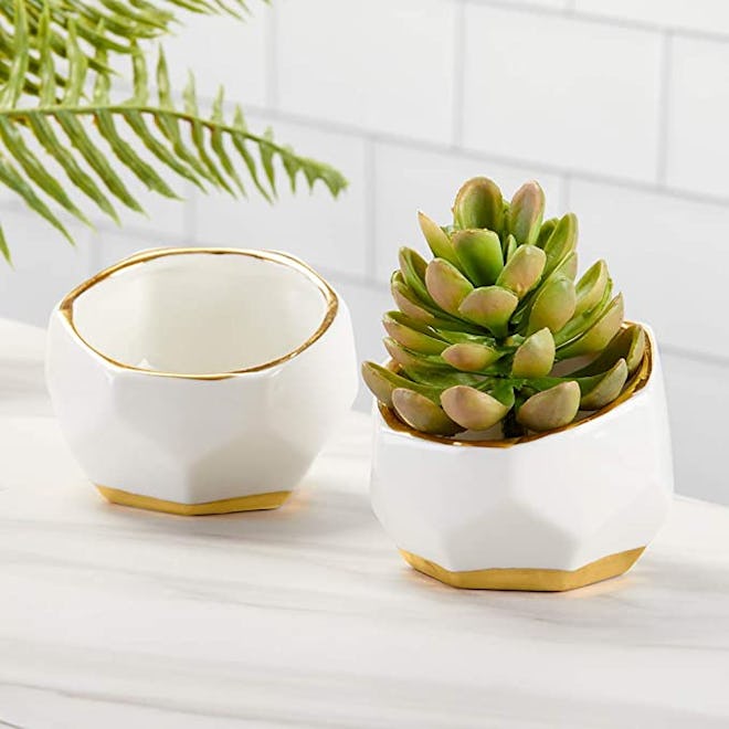 Kate Aspen Geometric Ceramic Planters (2-Pack)