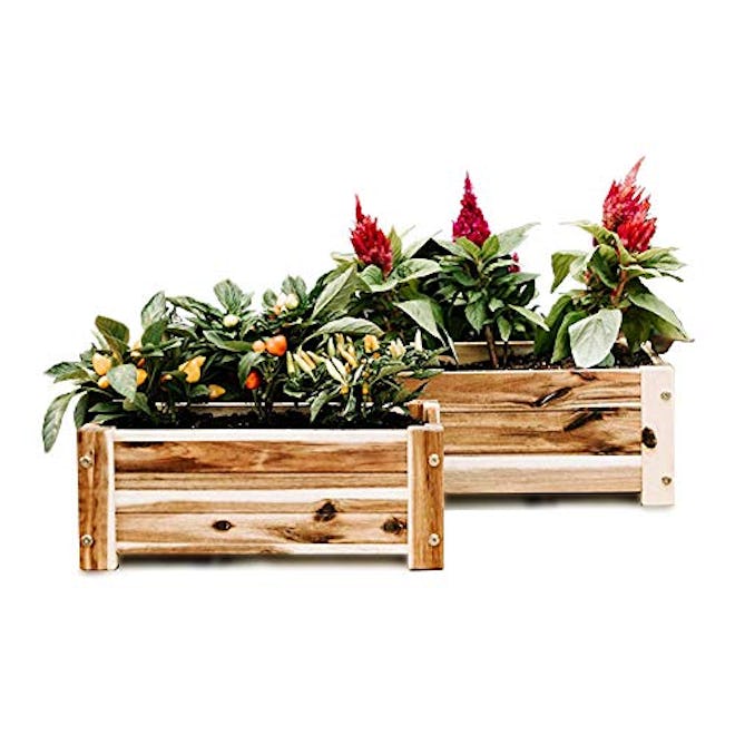 Wooden Flower Boxes (2-Pack Set)