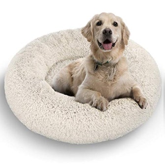 Active Pets Dog Donut Bed, Large 36' (Beige)