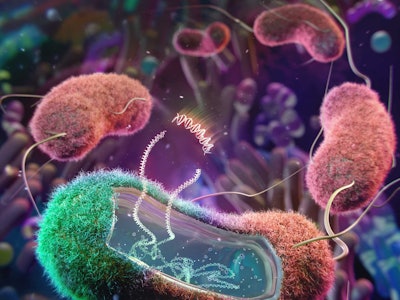 A colorful illustration of a community of bacteria. The bacteria in the foreground has been opened u...