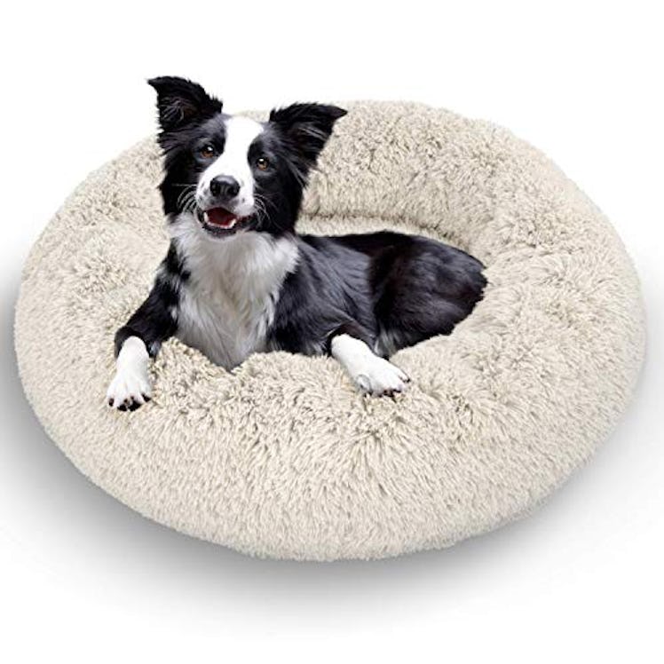 Active Pets Donut Dog Bed