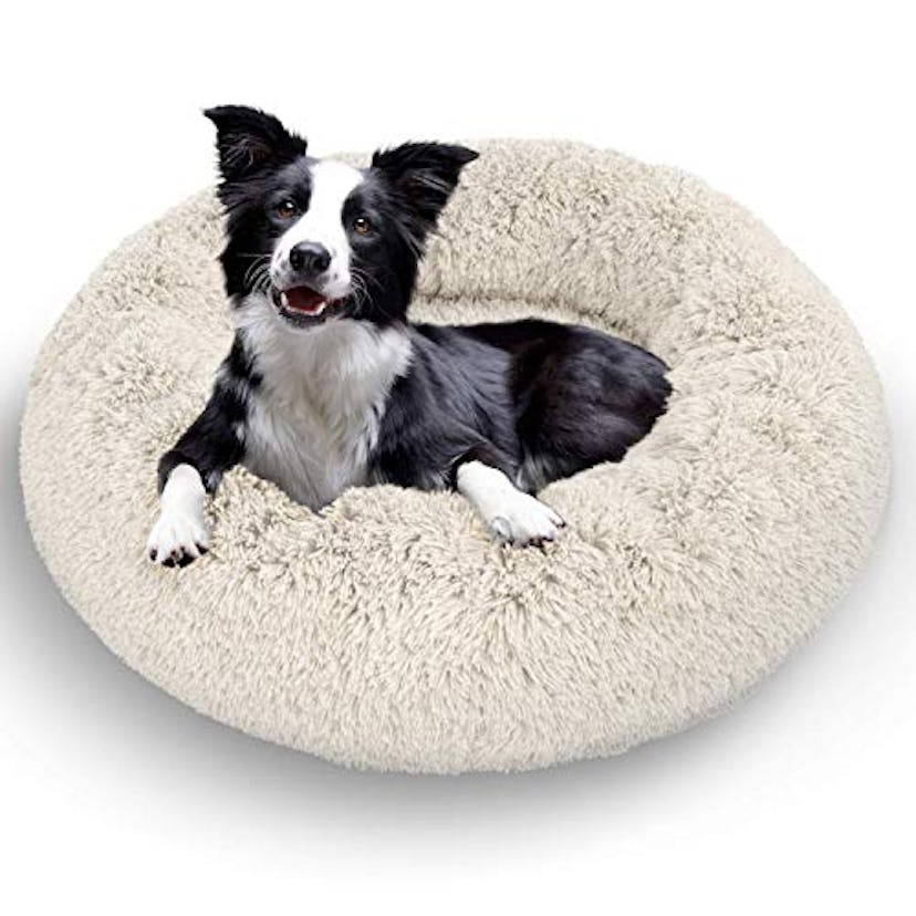 Active Pets Plush Calming Dog Bed