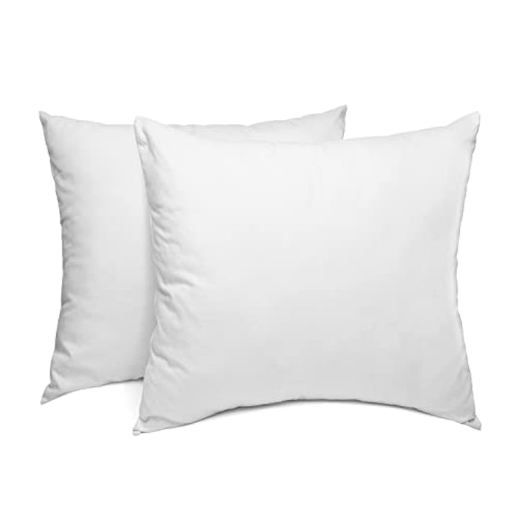 Sleep Restoration Pillow Inserts 