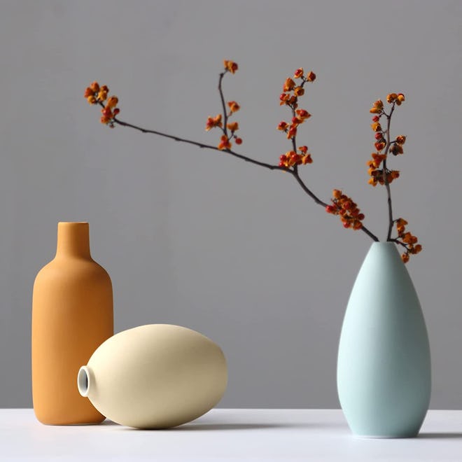 Abbittar Ceramic Vases (Set of 3)