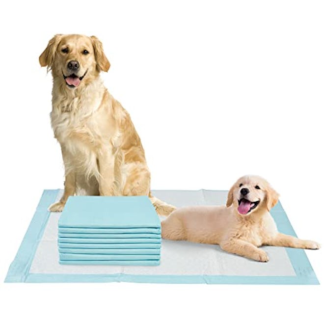 HappyNites Dog Pee Pads (30-Pack)