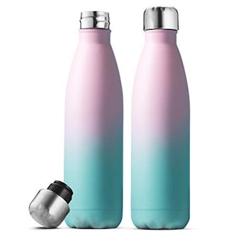 FineDine Triple-Insulated Stainless Steel Water Bottles (2-Pack)