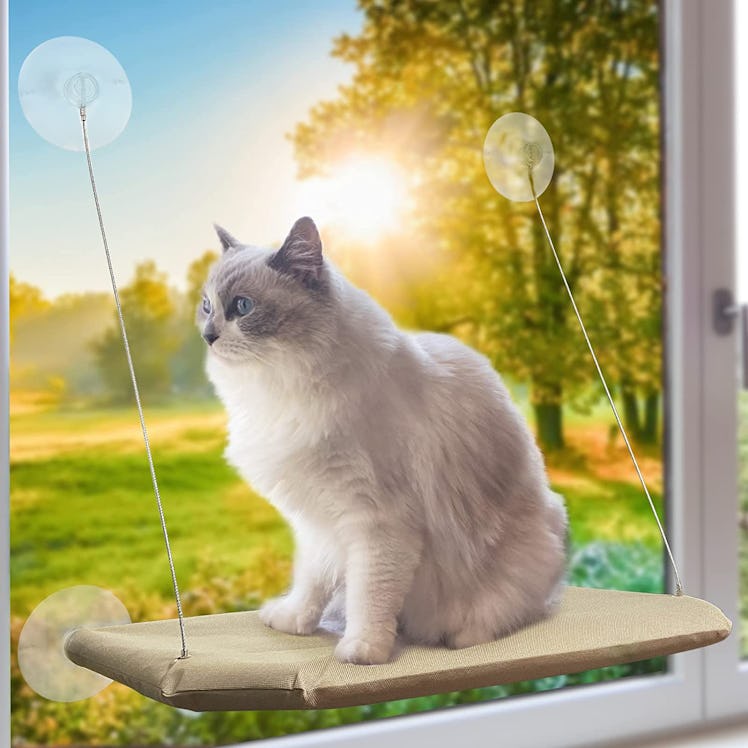 PETPAWJOY Window Cat Bed