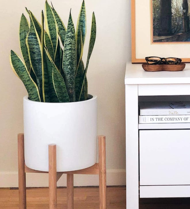 STNDRD. Bamboo Indoor Plant Stand