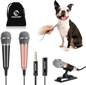 Get two mini microphones for TikTok for under $20. 