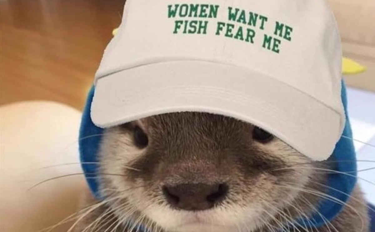 Fish Want Me Women Fear Me Meme Baseball Caps Hip Hop Sandwich