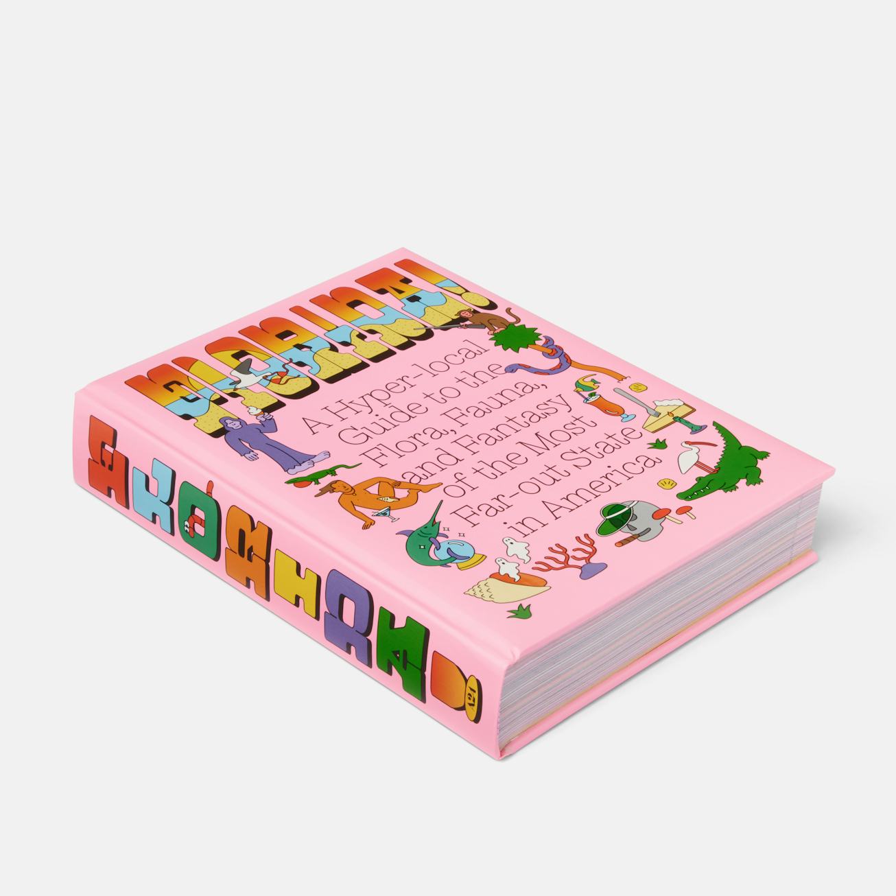 A24’s Florida Travel Guide Book Is By Floridians, For Everyone