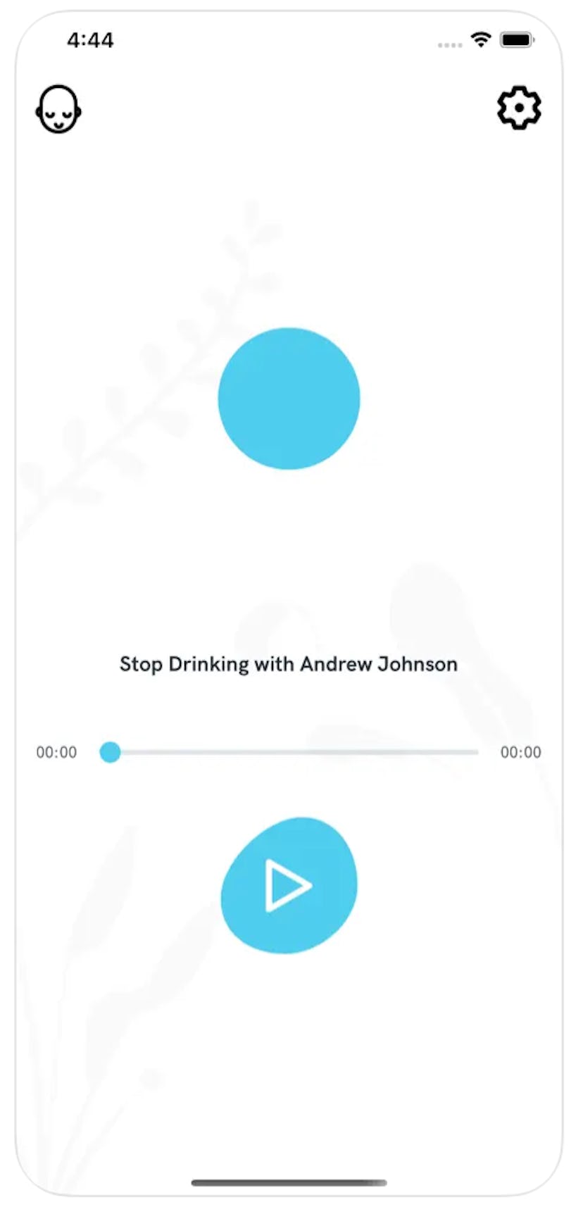 Stop Drinking With Andrew Johnson