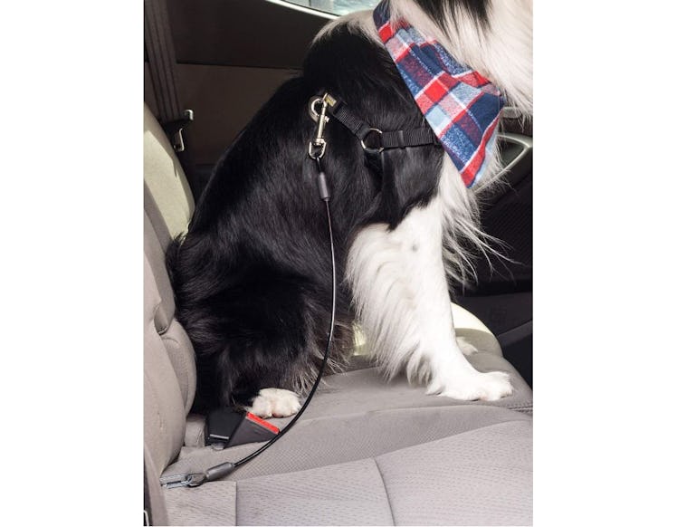 Leash Boss Dog Car Seat Belt Restraint