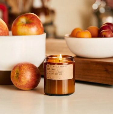Apple Picking– 7.2 oz Soy Candle
