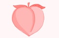 illustration of a peach