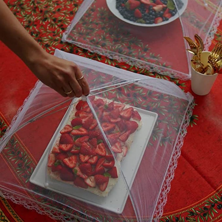 Simply Genius Pop-Up Mesh Food Covers (6-Pack)