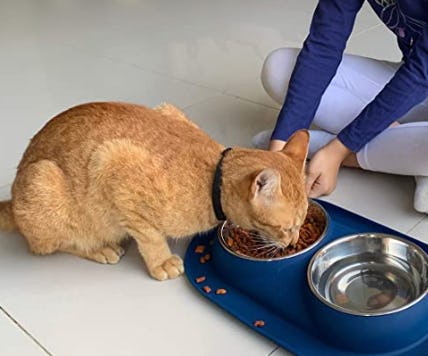 Bonza Pet Feeder Bowl